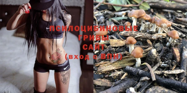 гидропоника Няндома