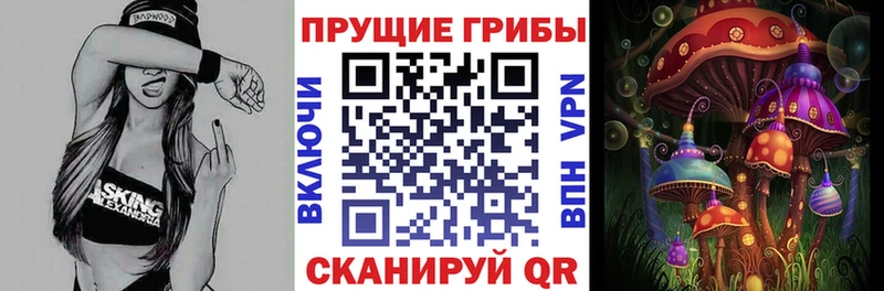 Псилоцибиновые грибы Psilocybine cubensis  Лангепас 